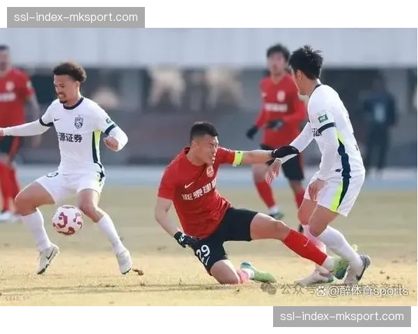 通讯:从射手王到教练——专访长春亚泰新任本土助教谭龙 通讯:从射手王到教练——专访长春亚泰新任本土助教谭龙