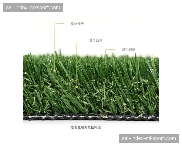 圣西罗-梅阿查球场草皮更换工程启动，将采用新型混合草系统提升质量